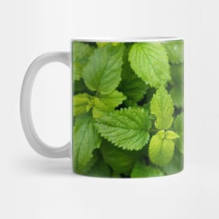 green life Mug